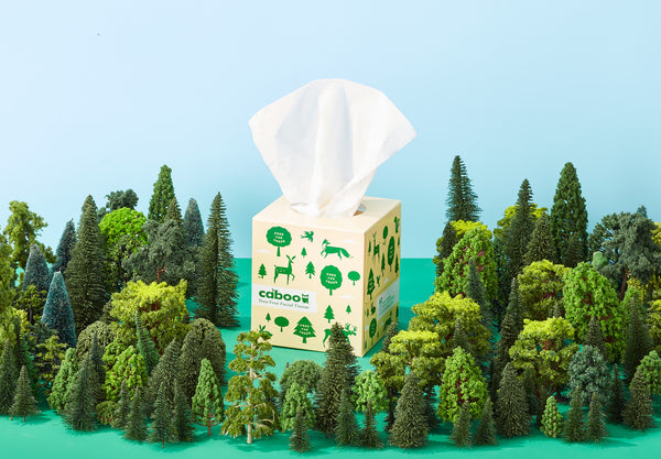 Sustainability - Our Planet Re-Leaf® Program | Caboo